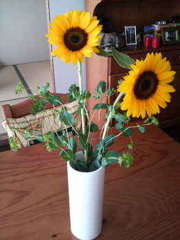 2010061213180000.jpg
