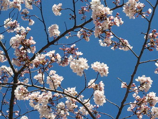 2011-04-04 15.03.05.jpg